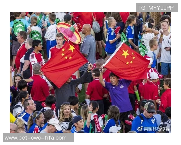 美国足球发展现状与未来展望探讨及其对青少年体育的影响分析